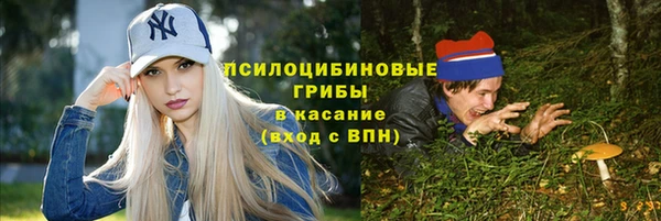 спайс Бородино