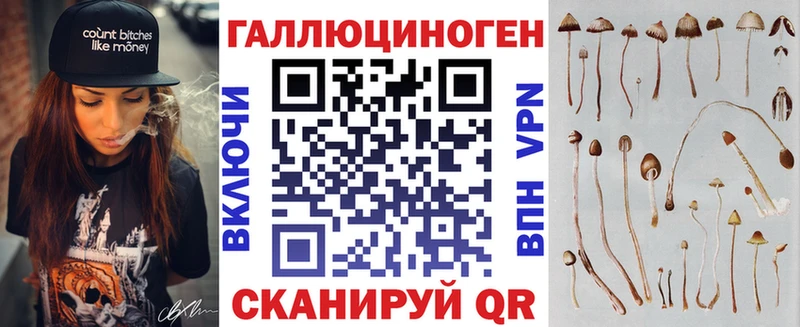 Купить  Заволжье  Псилоцибиновые грибы Magic Shrooms 